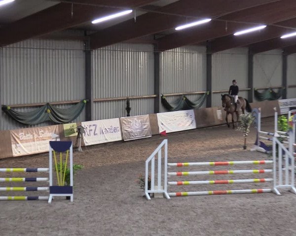 Reitturnier Hesel 2024