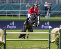 stallion Le Blue Diamond v't Ruytershof (Belgian Warmblood, 2011, from Plot Blue)