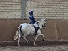 dressage horse Iris (Welsh mountain pony (SEK.A), 2009)