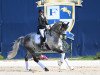 stallion Black Or White Bordeaux OLD (Oldenburg, 2014, from Bordeaux 28)