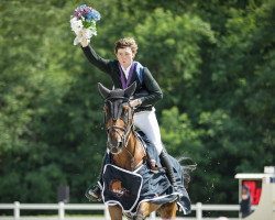 jumper Cuffesgrange Cavadora (Irish Sport Horse, 2012, from Z Wellie 72)