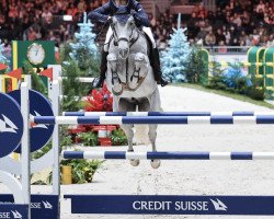 jumper Rr Vitaly (Argentinian horse, 2013, from Cornet du Lys)