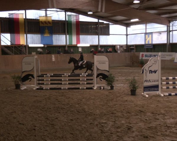 Reitturnier Velen 2024
