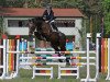 jumper Alessio 21 (German Sport Horse, 2011, from Accusé)