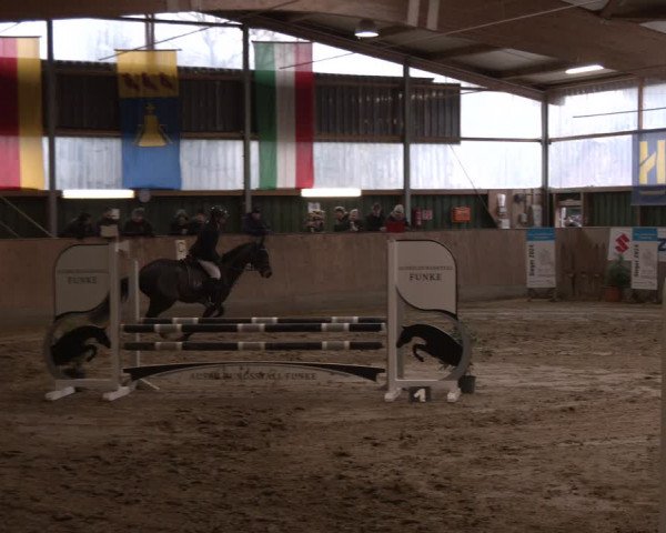 Reitturnier Velen 2024