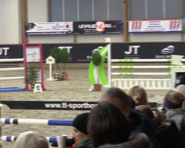 Reitturnier Goch-Asperden 2024