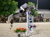 jumper Gloria (Holsteiner, 2014, from Hickstead)