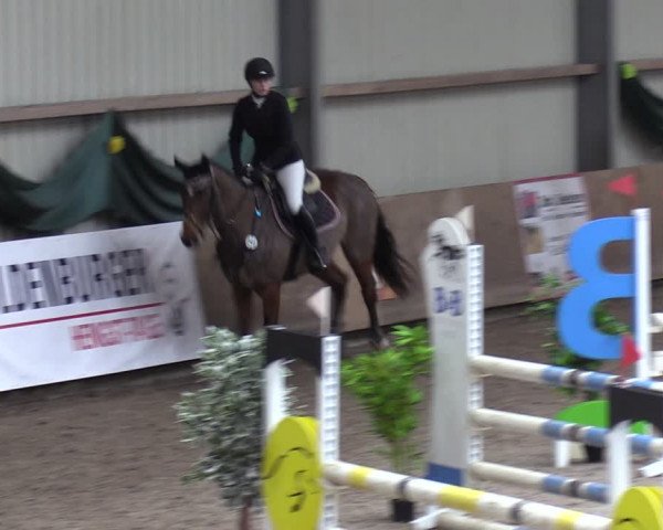 Reitturnier Hesel 2024