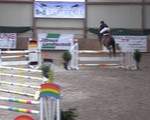 Reitturnier Hesel 2024