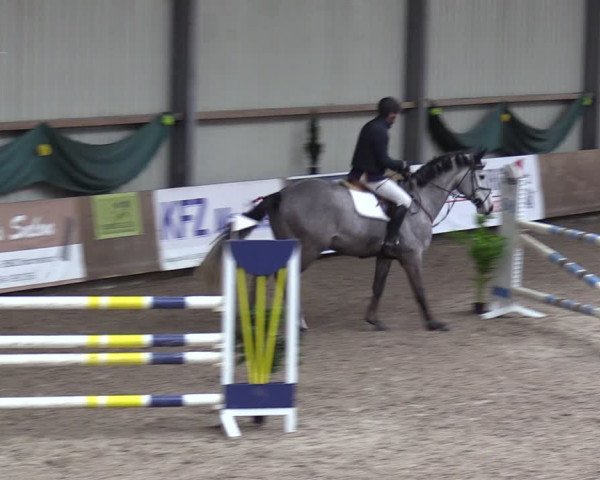 Reitturnier Hesel 2024