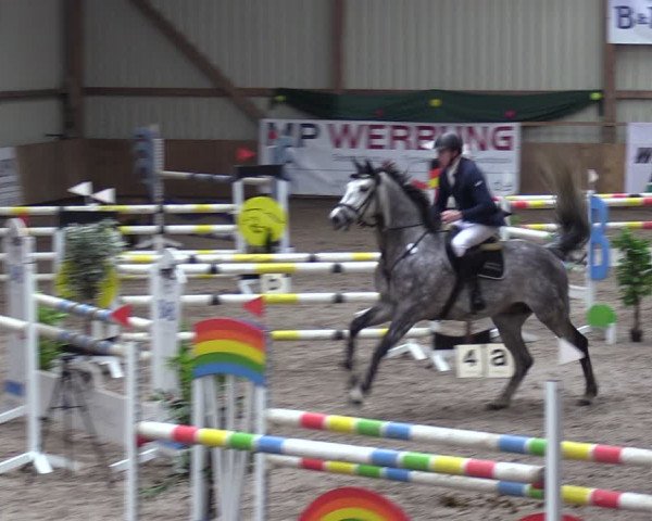 Reitturnier Hesel 2024