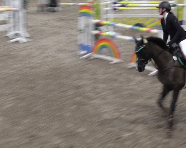 Reitturnier Hesel 2024