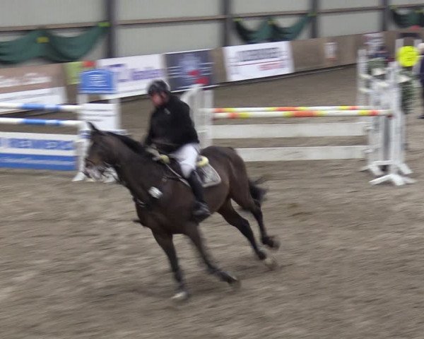 Reitturnier Hesel 2024