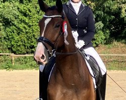 dressage horse Tom Taylor 5 (Trakehner, 2020, from Zauberdeyk)