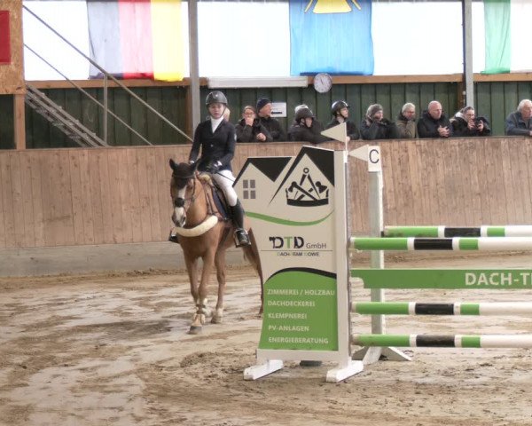 Reitturnier Velen 2024