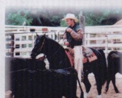 stallion Catalena Boy (Quarter Horse, 1978, from Doc OLena)