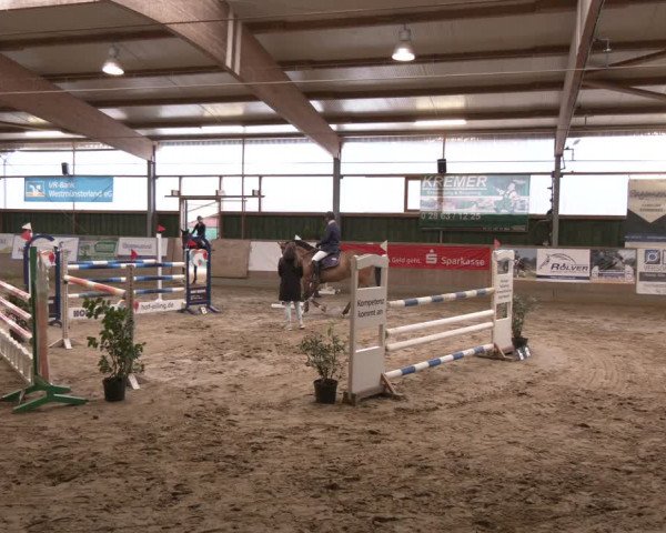 Reitturnier Velen 2024