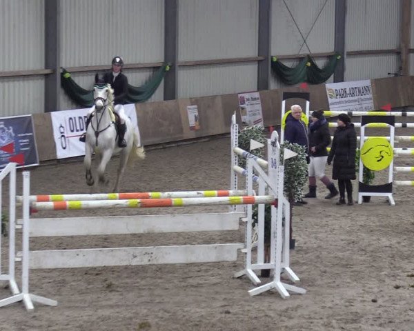 Reitturnier Hesel 2024