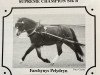 stallion Farchynys Pelydryn (Welsh-Pony (Section B), 1992, from Coed Coch Pele)