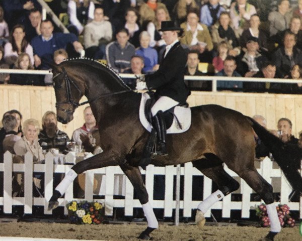 stallion Sir Donato (Oldenburg, 2005, from Sir Donnerhall I)