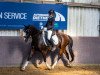 dressage horse Natascha 392 (German Riding Pony, 2009, from Charisma)