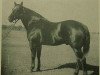 Deckhengst Cuellar (Quarter Horse, 1942, von King)