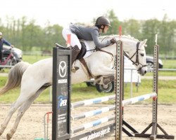 jumper Pastor Peppi (German Riding Pony, 2009, from Pieter Pan)