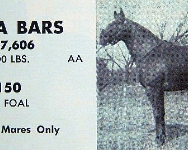 Deckhengst Tonta Bars (Quarter Horse, 1957, von Bar Tonto)