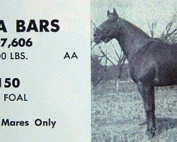 stallion Tonta Bars (Quarter Horse, 1957, from Bar Tonto)