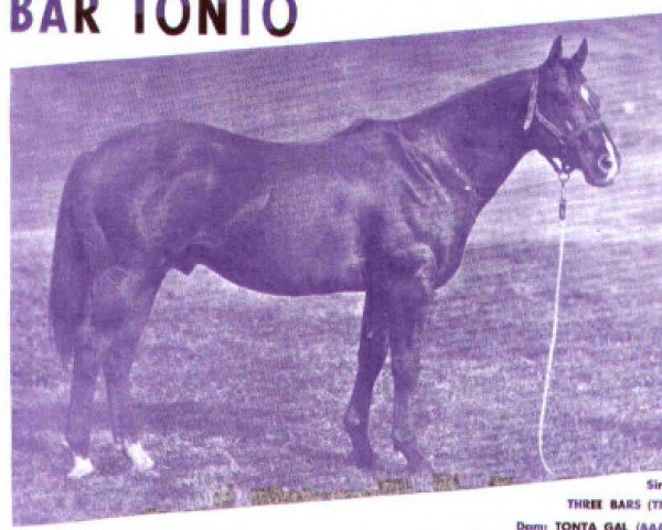 Deckhengst Bar Tonto (Quarter Horse, 1953, von Three Bars xx)