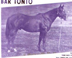 stallion Bar Tonto (Quarter Horse, 1953, from Three Bars xx)