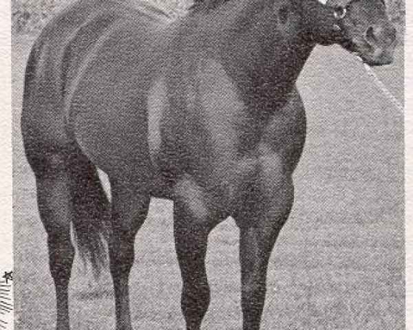 stallion Jonmar Jack (Quarter Horse, 1973, from Wimpy Leo Sandy)