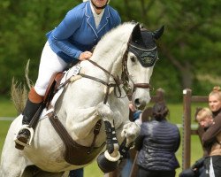 jumper Lafayette 183 (German Sport Horse, 2009, from Levkoi)