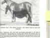 broodmare Belvoir Hollyhock (Welsh-Pony (Section B), 1972, from Belvoir Zoroaster)