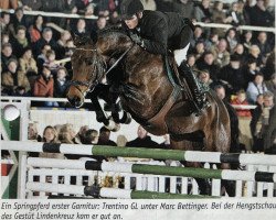 stallion Trentino GL (Rhinelander, 1998, from Templer GL xx)