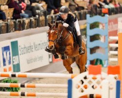 jumper Urmel (German Riding Pony, 2010, from Charivari)