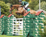 jumper Grs Lady Amaro (Irish Sport Horse, 2013, from Amaretto D'Arco)