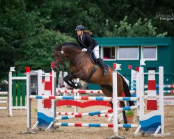 dressage horse A Baaco (Westphalian, 2002, from Laomedon)