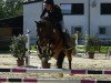 jumper Little Bubble B (German Riding Pony, 2011, from Like Luxus)