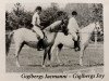 broodmare Giglbergs Jacamanni (German Riding Pony, 1981, from Downland Chorister)