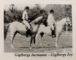 broodmare Giglbergs Jacamanni (German Riding Pony, 1981, from Downland Chorister)