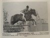 stallion Glansevin Gadabout (Welsh, 1978, from Minsterley Captain)