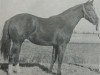 Zuchtstute Dynago Miss (Quarter Horse, 1958, von Go Man Go)