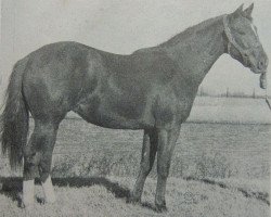 broodmare Dynago Miss (Quarter Horse, 1958, from Go Man Go)