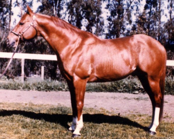 Deckhengst Mr. Go Bar (Quarter Horse, 1968, von Three Bars xx)