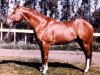 Deckhengst Mr. Go Bar (Quarter Horse, 1968, von Three Bars xx)