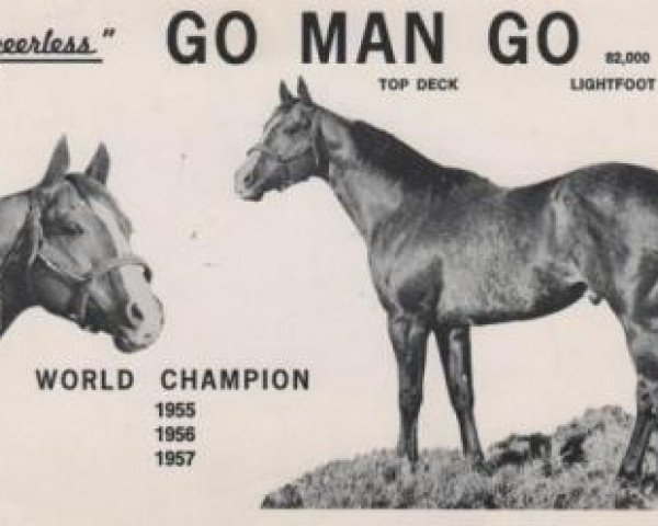 stallion Go Man Go (Quarter Horse, 1953, from Top Deck xx)