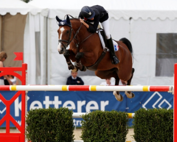 jumper Samos de Bon Vouloir (Belgium Sporthorse, 2002, from Master van de Helle)