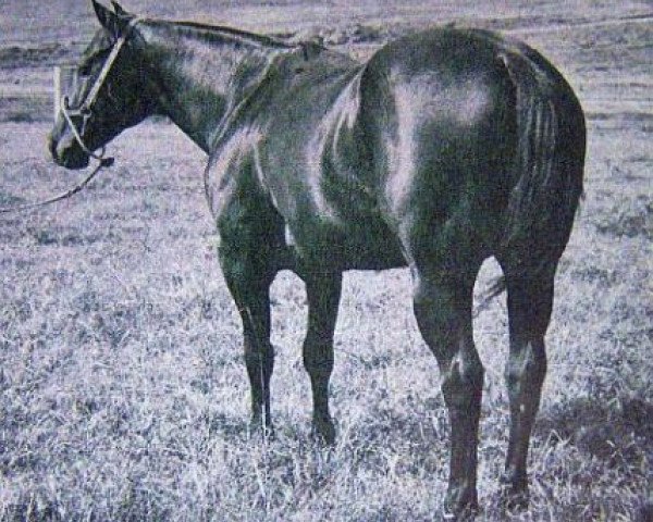 Deckhengst King So Big (Quarter Horse, 1956, von King)