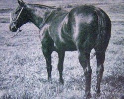 stallion King So Big (Quarter Horse, 1956, from King)